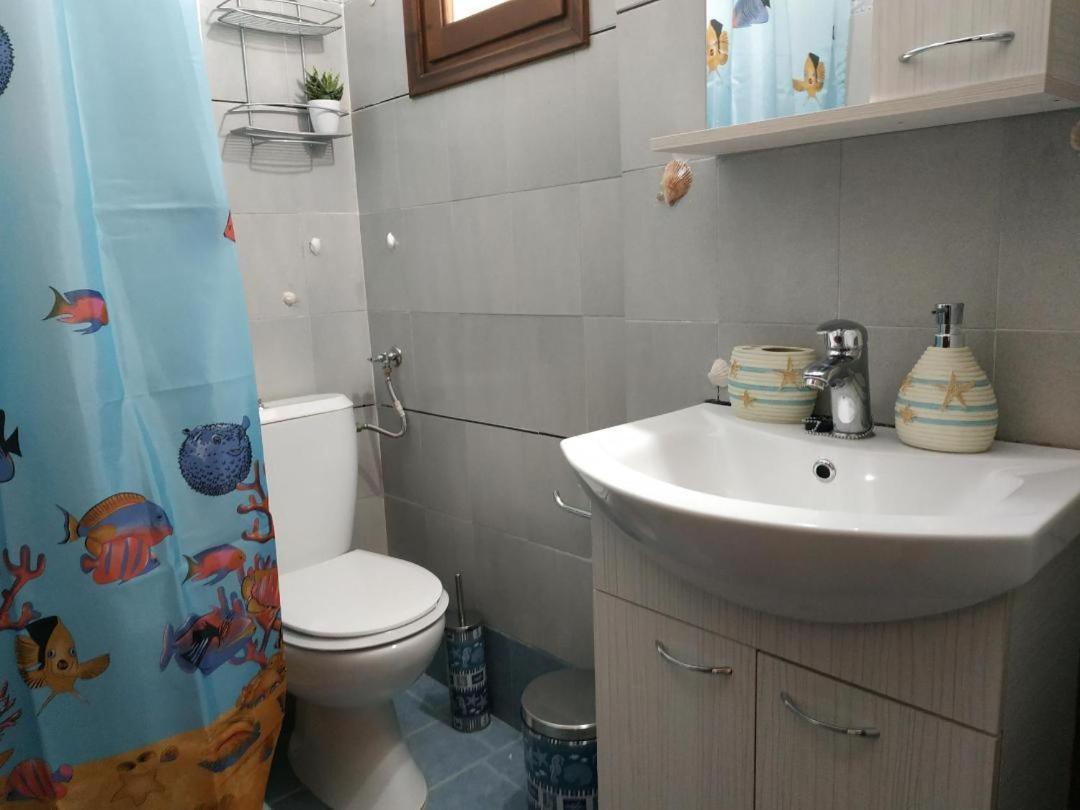 Παραθαλασσιο Στουντιο Μιχαλιας Sea View Studio Michalias Νουμερο 8 Agia Marina  外观 照片